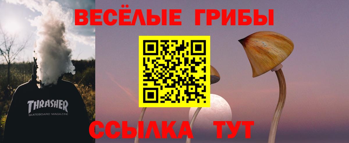 Псилоцибиновые грибы Psilocybine cubensis Рязань